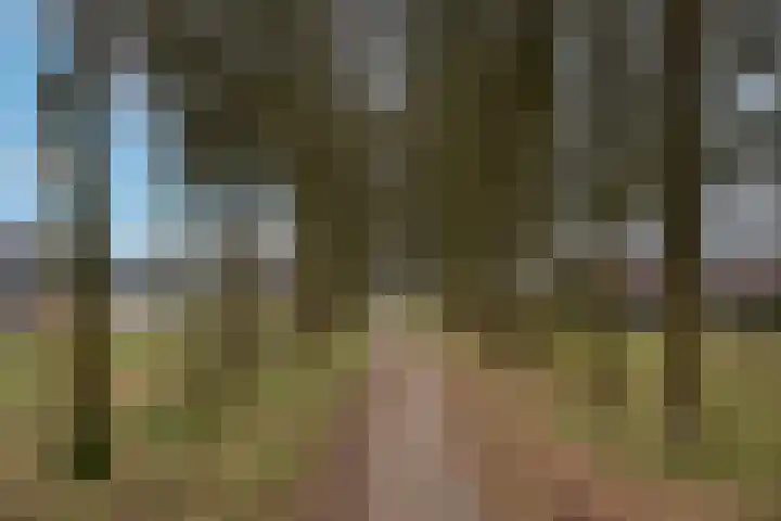 Dalkruid 40 Delden thumbnail 44