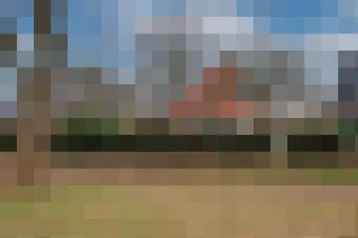 Dalkruid 40 Delden thumbnail 45