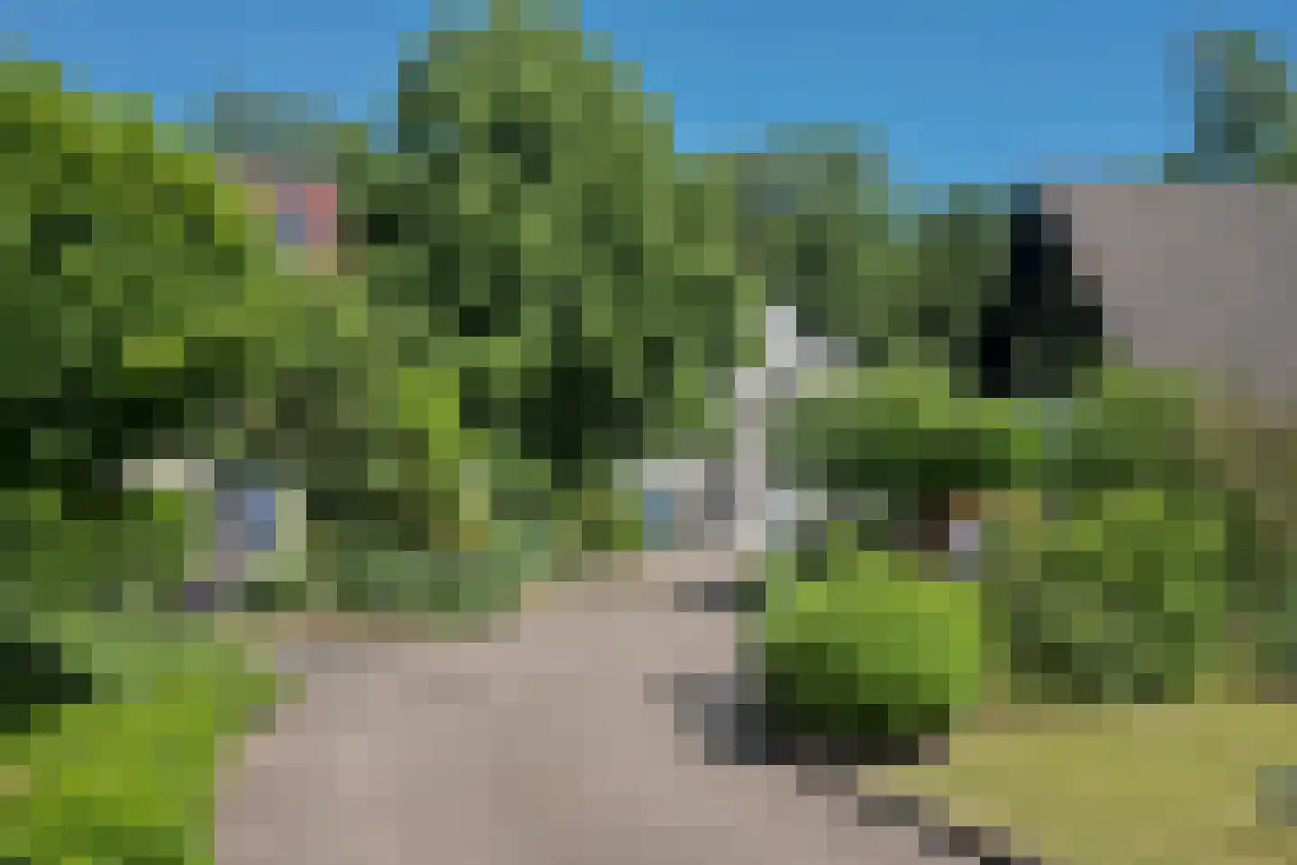 Dalkruid 40 Delden thumbnail 46