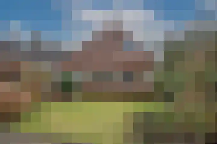Dalkruid 40 Delden thumbnail 46