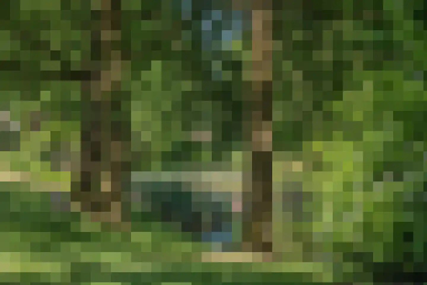 Dalkruid 40 Delden thumbnail 47