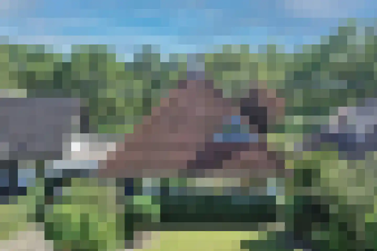 Dalkruid 40 Delden thumbnail 49