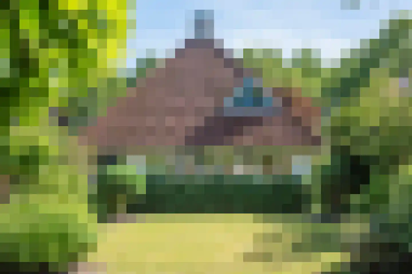 Dalkruid 40 Delden thumbnail 5