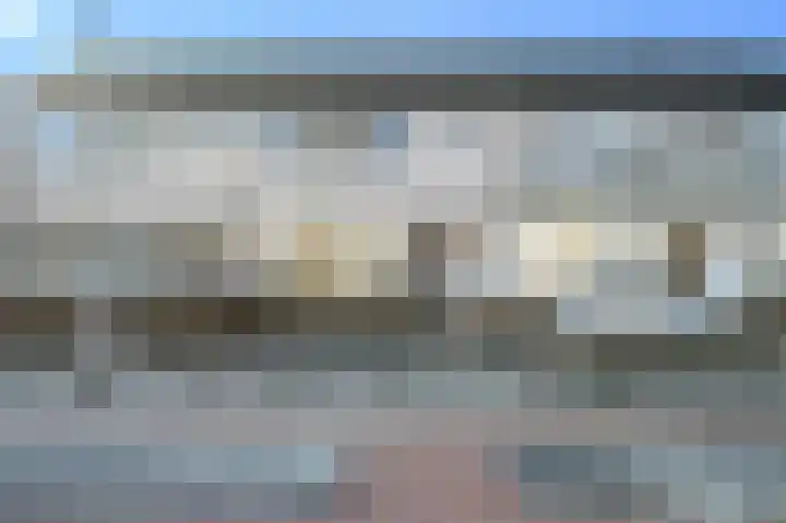 Dalkruid 40 Delden thumbnail 6