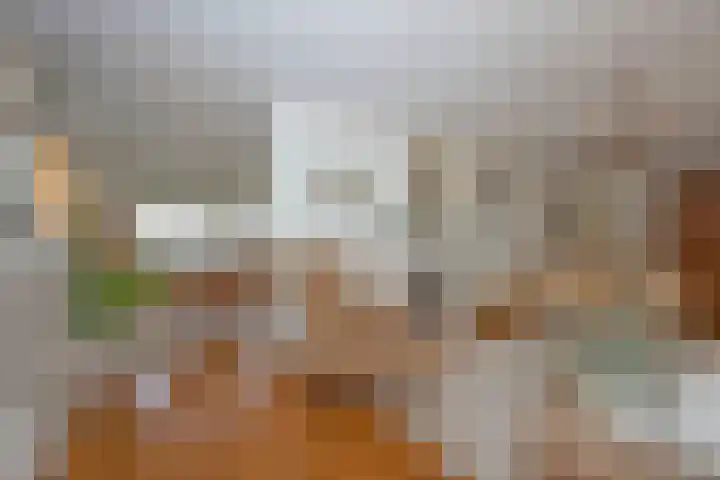Dalkruid 40 Delden thumbnail 7