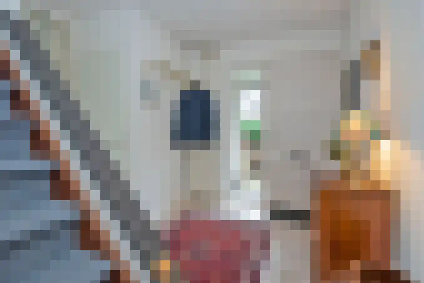 Dalkruid 40 Delden thumbnail 7