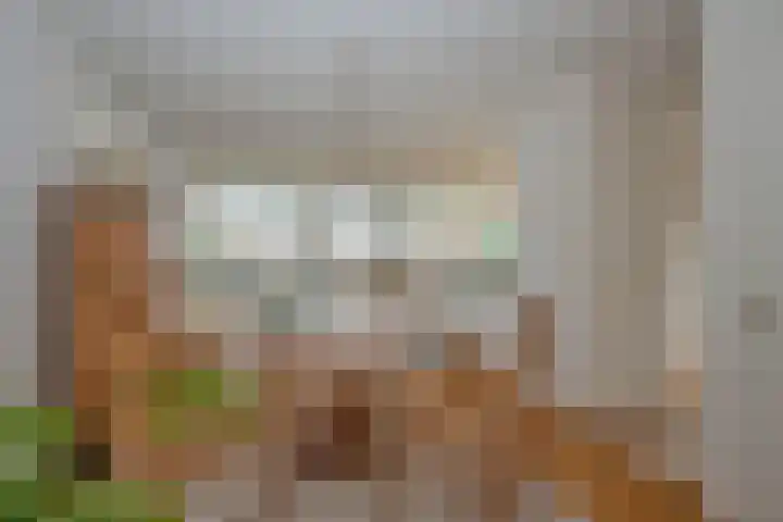 Dalkruid 40 Delden thumbnail 8