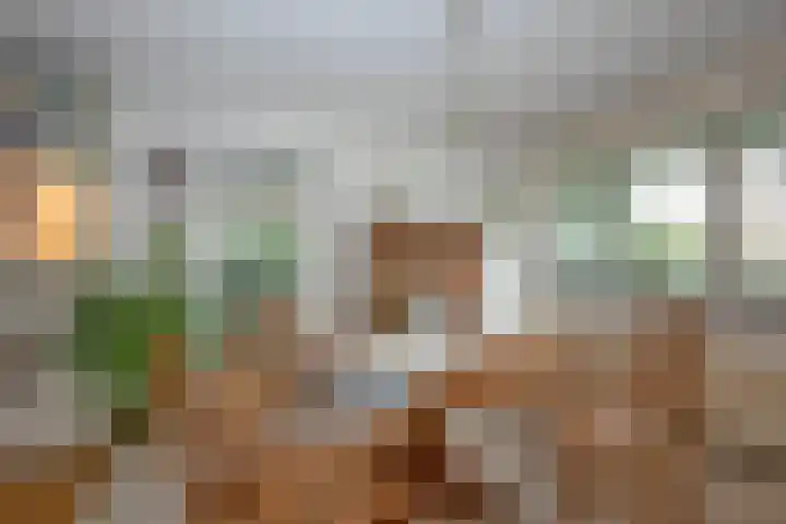 Dalkruid 40 Delden thumbnail 9