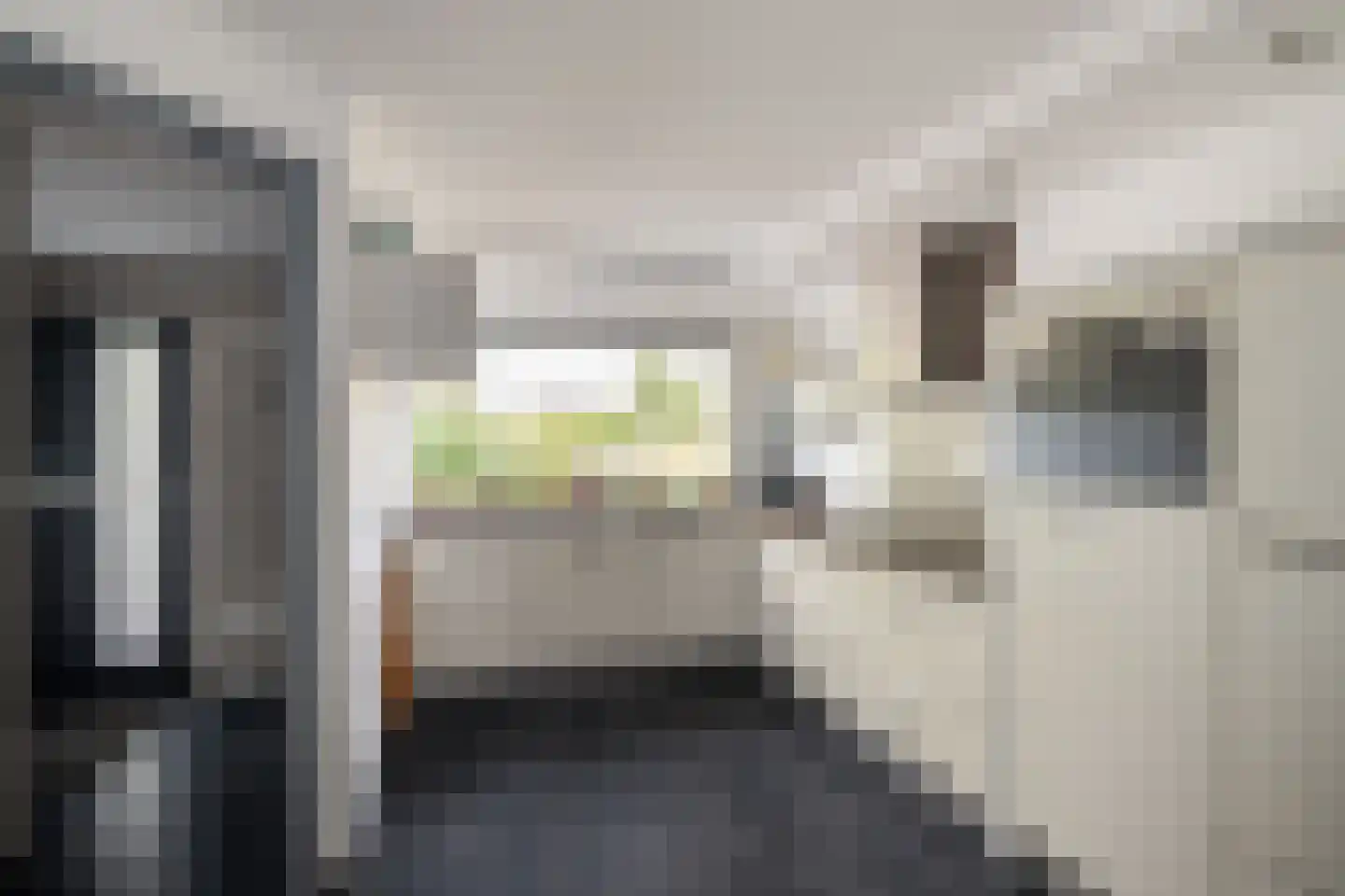 Dalkruid 49 Vlaardingen thumbnail 11