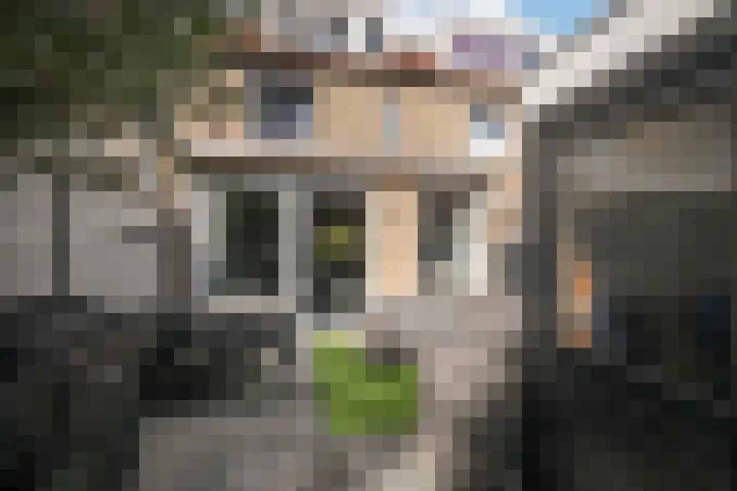 Dalkruid 49 Vlaardingen thumbnail 16