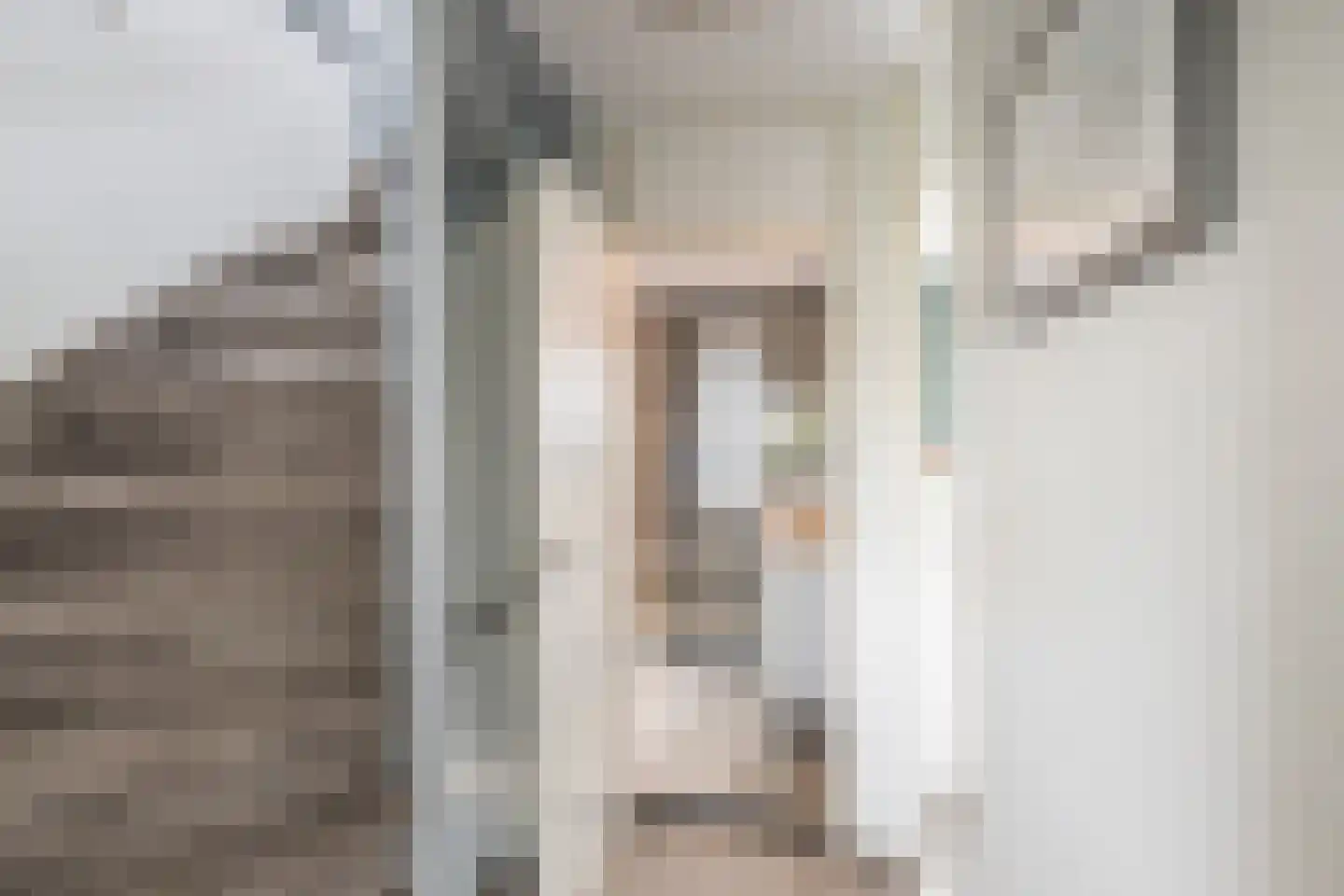 Dalkruid 49 Vlaardingen thumbnail 17