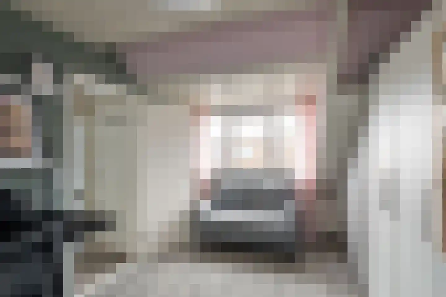 Dalkruid 49 Vlaardingen thumbnail 31
