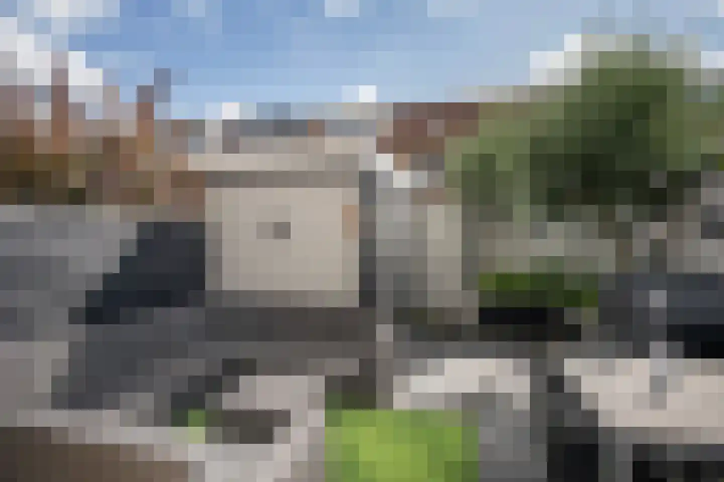 Dalkruid 49 Vlaardingen thumbnail 5