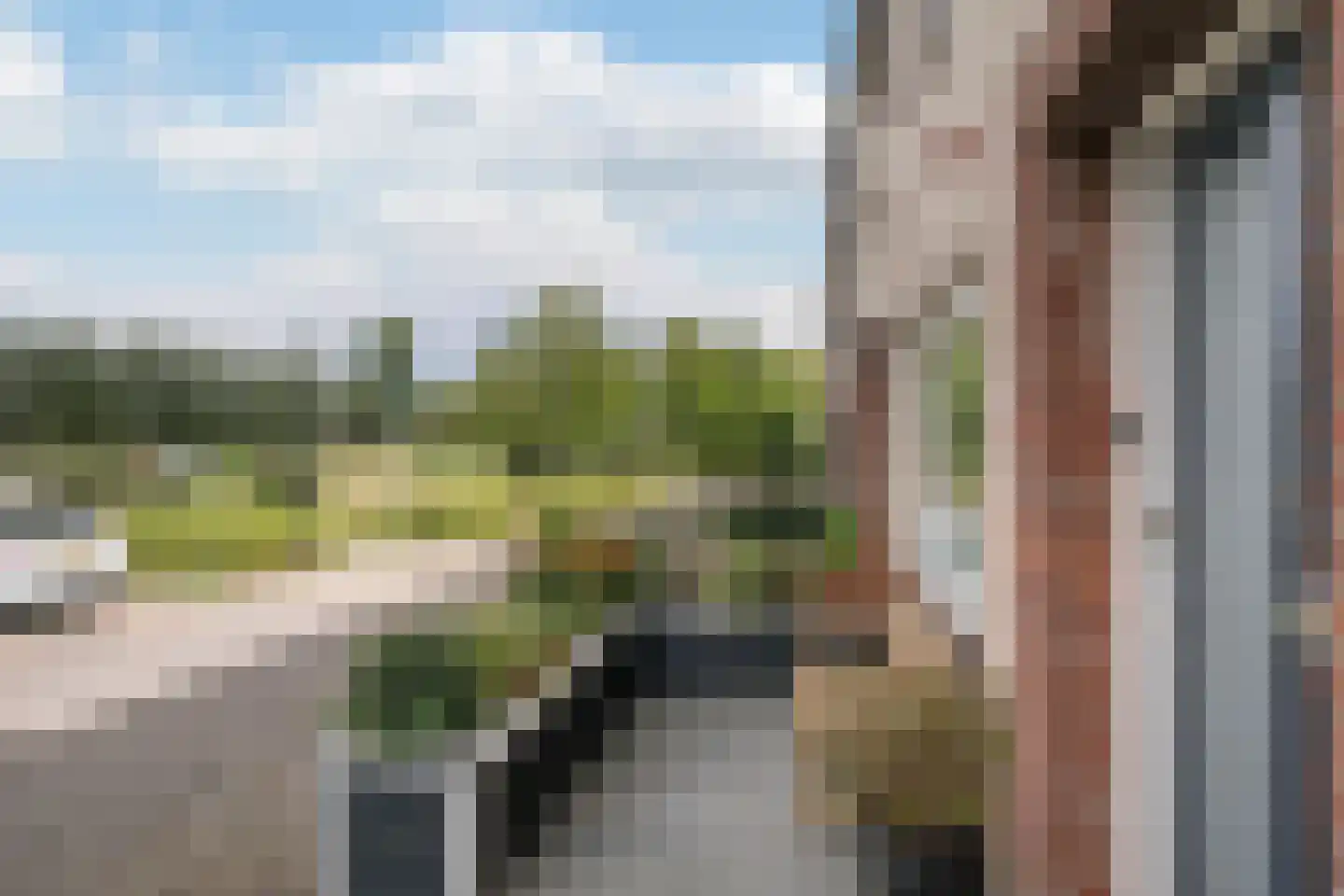 Dalkruid 49 Vlaardingen thumbnail 7
