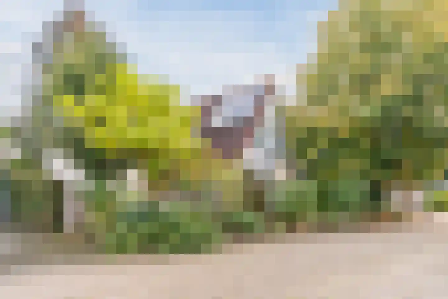 Dalkruid 55 Delden thumbnail 10