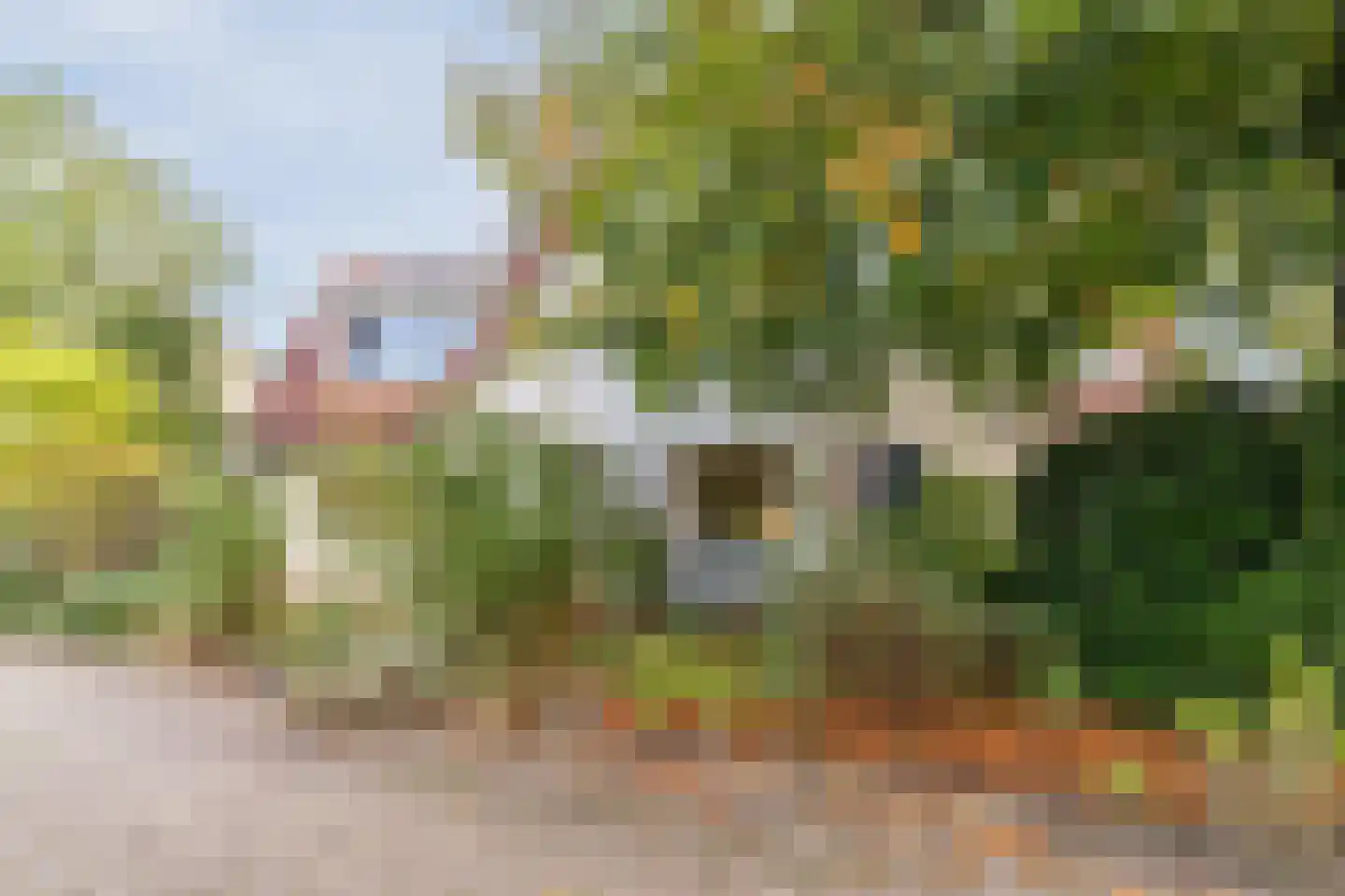 Dalkruid 55 Delden thumbnail 11