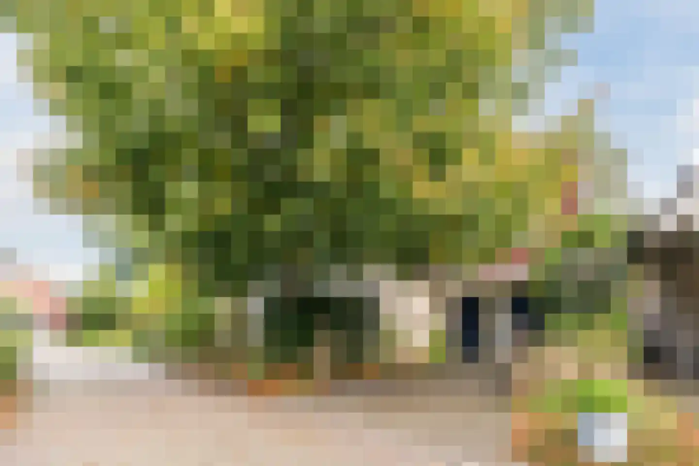 Dalkruid 55 Delden thumbnail 13