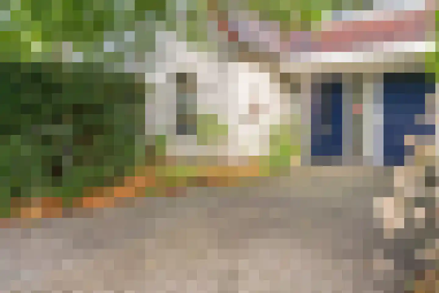 Dalkruid 55 Delden thumbnail 14