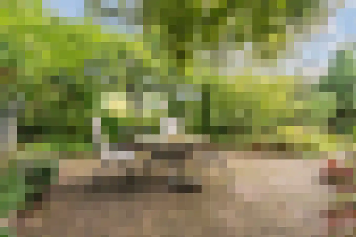 Dalkruid 55 Delden thumbnail 51