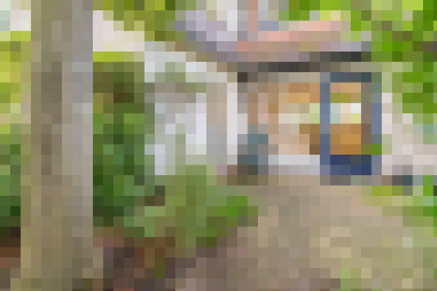 Dalkruid 55 Delden thumbnail 54