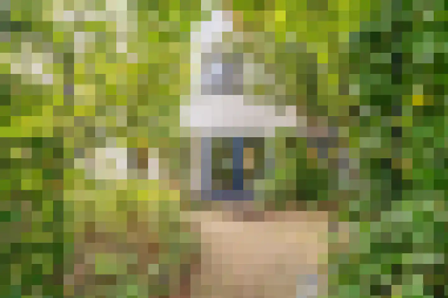 Dalkruid 55 Delden thumbnail 55