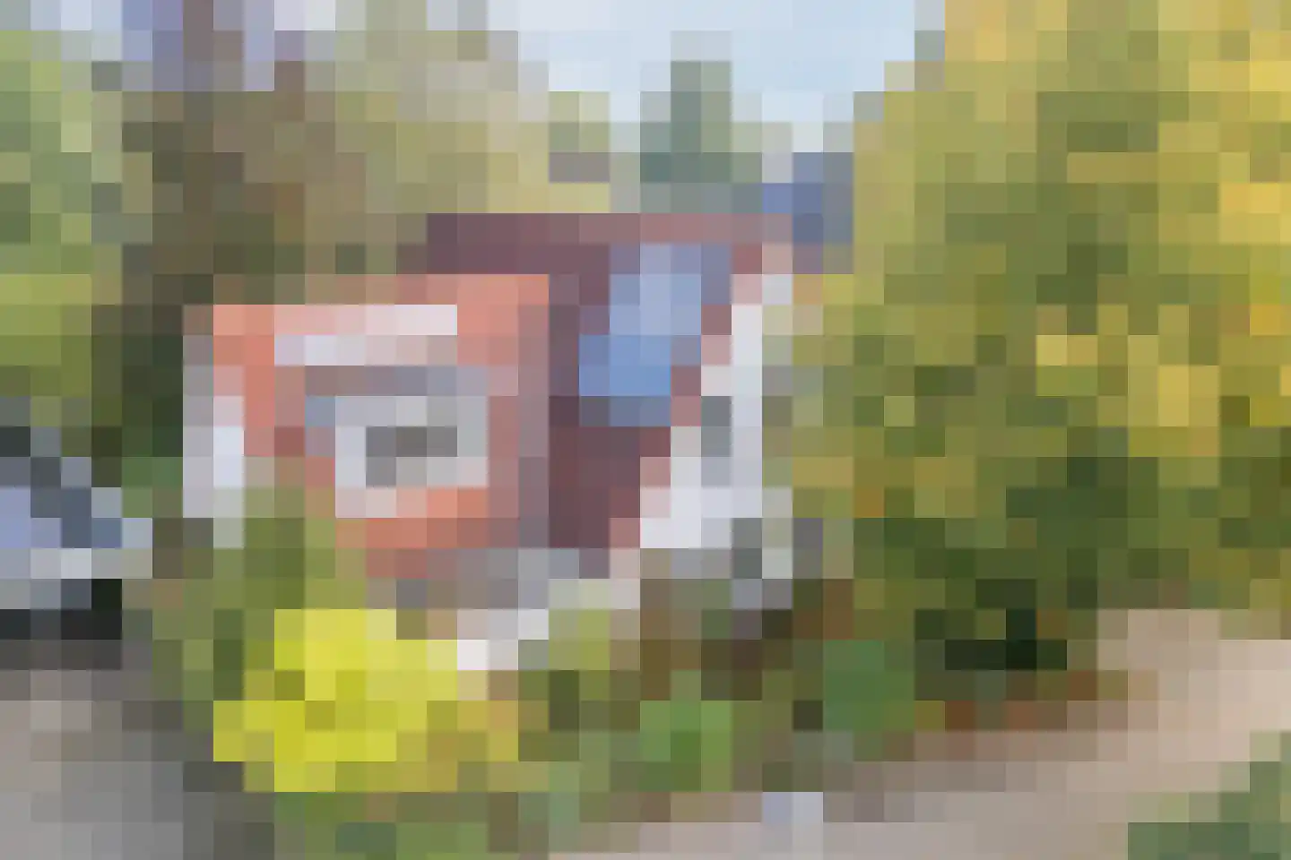 Dalkruid 55 Delden thumbnail 8