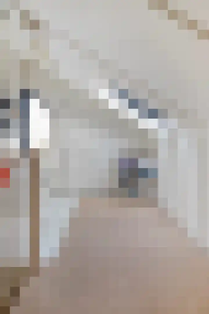 Dalkruid 8 Zeewolde thumbnail 32