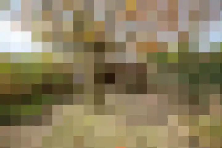 Dalkruid 8 Zeewolde thumbnail 36