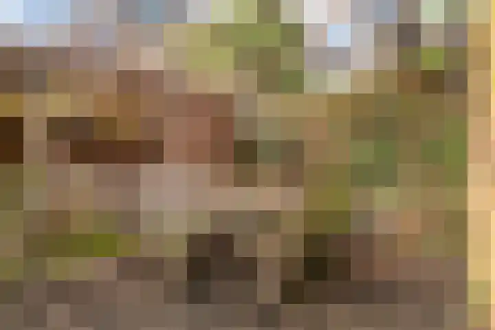 Dalkruid 8 Zeewolde thumbnail 39