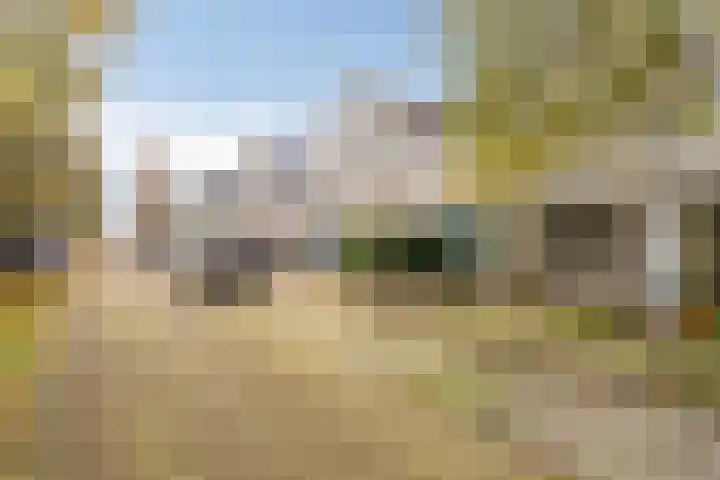 Dalkruid 8 Zeewolde thumbnail 4