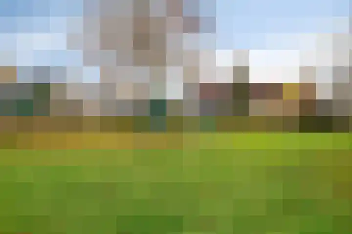 Dalkruid 8 Zeewolde thumbnail 44