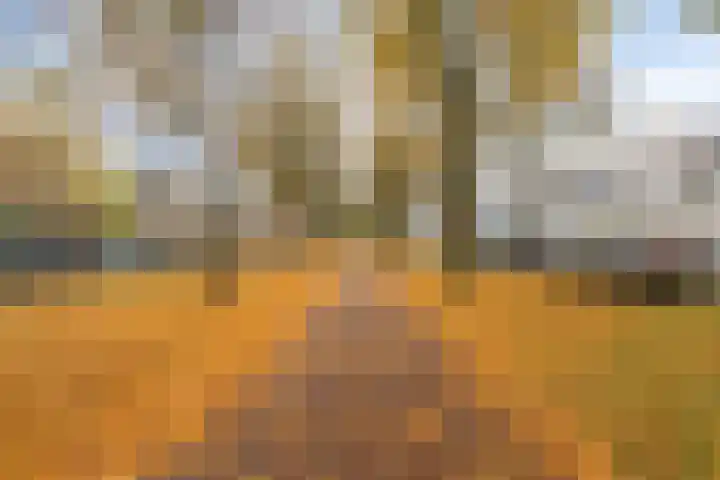 Dalkruid 8 Zeewolde thumbnail 45