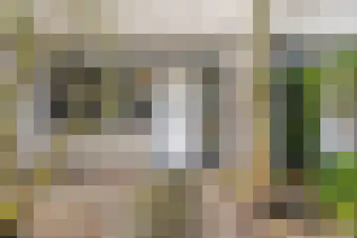 Dalkruid 8 Zeewolde thumbnail 6