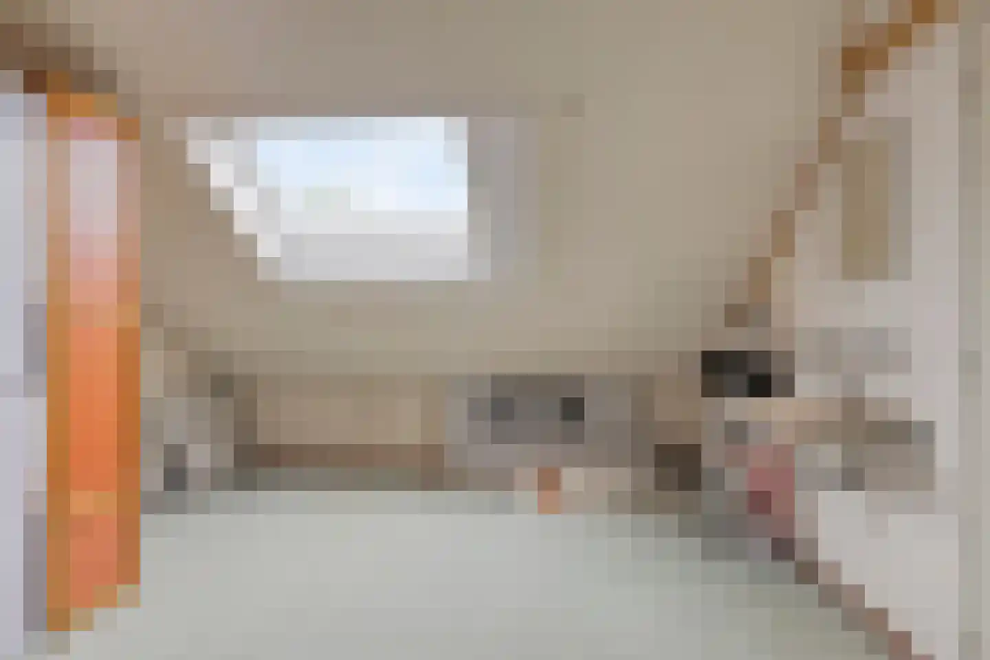 Dalkruiddreef 10 Nuenen thumbnail 27