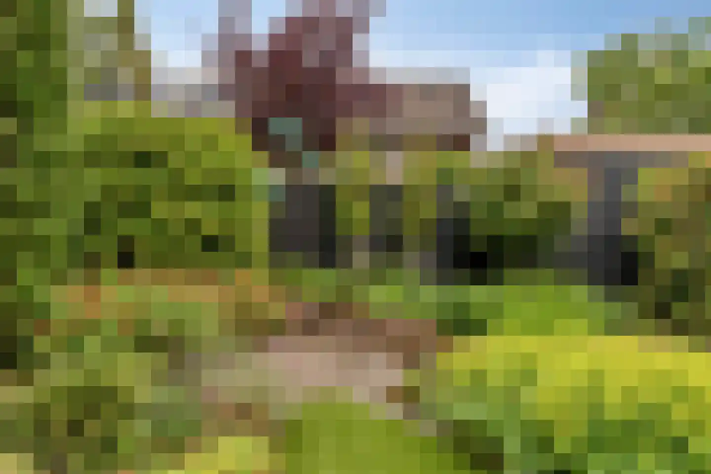 Dalkruiddreef 10 Nuenen thumbnail 28