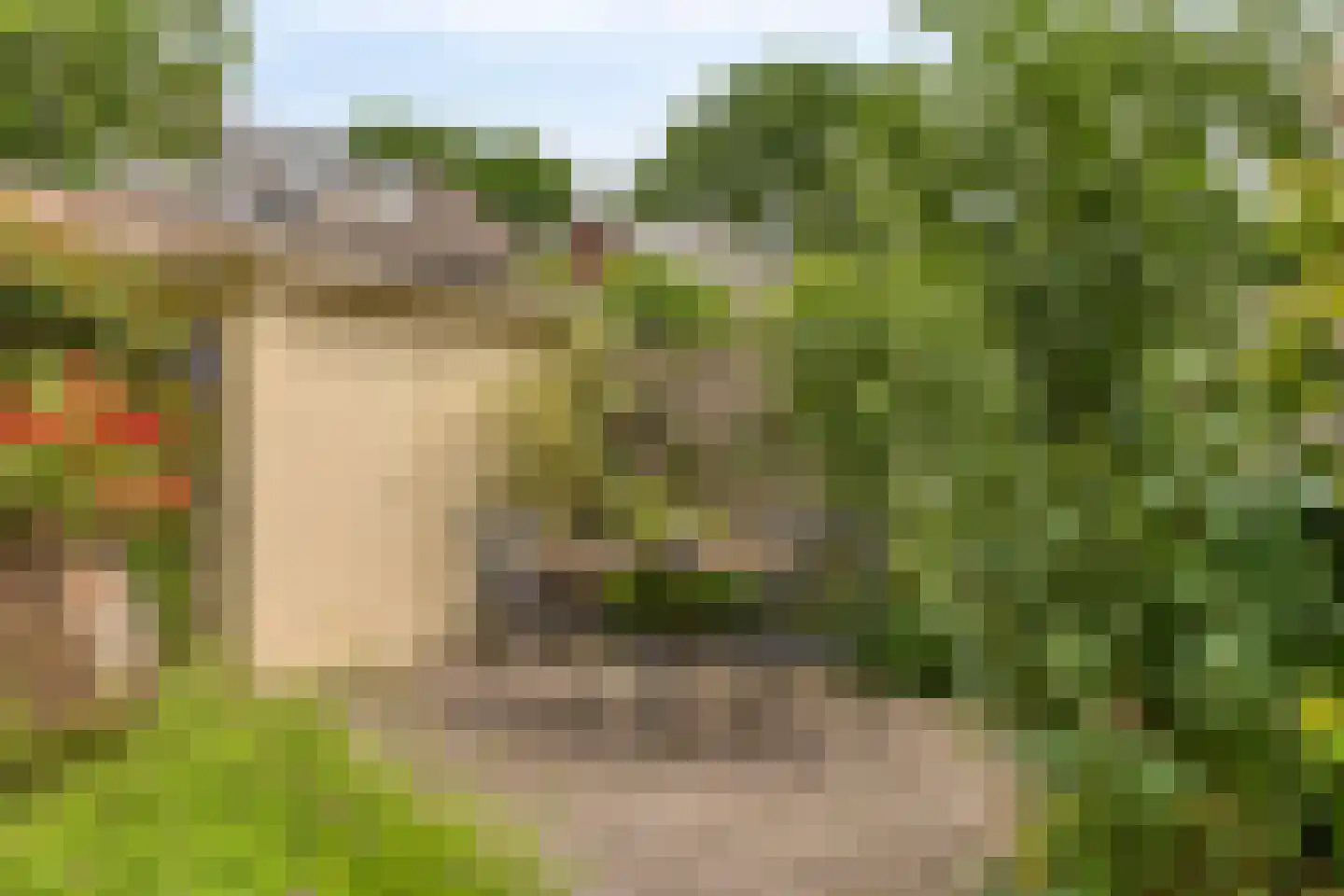Dalkruiddreef 10 Nuenen thumbnail 29