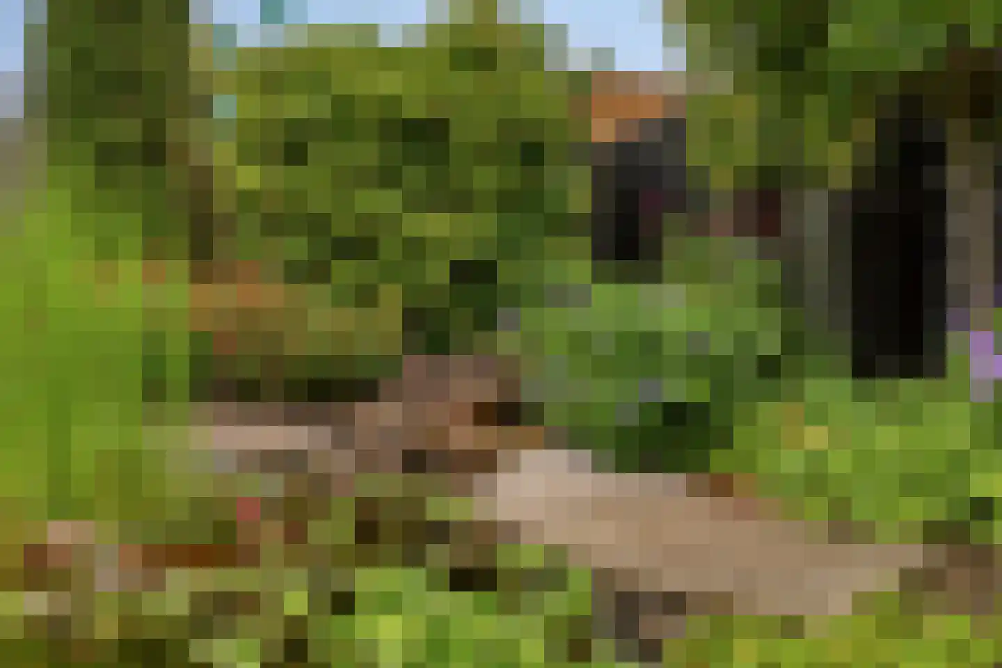 Dalkruiddreef 10 Nuenen thumbnail 30
