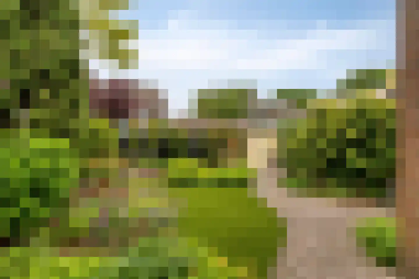 Dalkruiddreef 10 Nuenen thumbnail 4