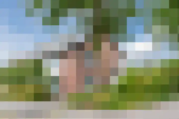 Dalkruiddreef 2 Nuenen