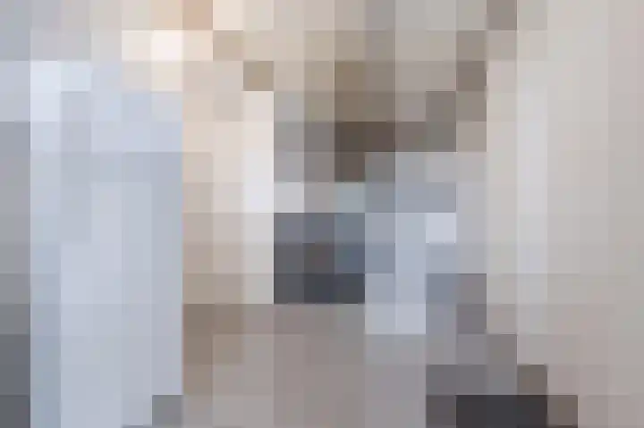 Dalkruiddreef 2 Nuenen thumbnail 19