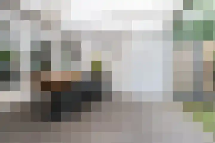 Dalkruiddreef 2 Nuenen thumbnail 20