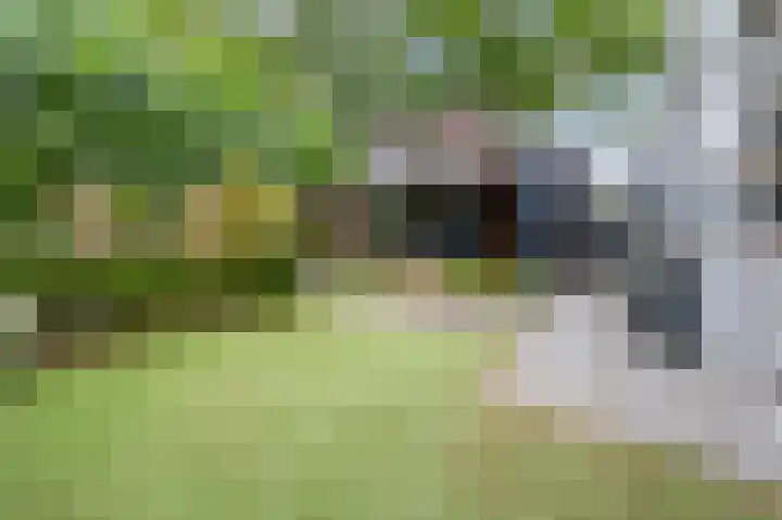 Dalkruiddreef 2 Nuenen thumbnail 22