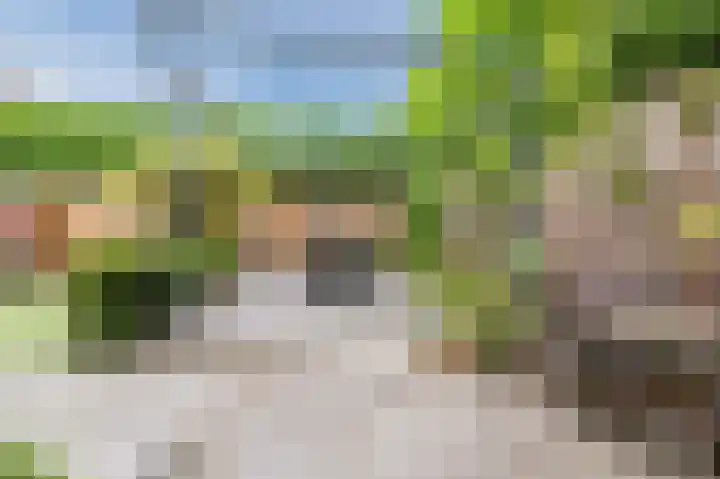 Dalkruiddreef 2 Nuenen thumbnail 24