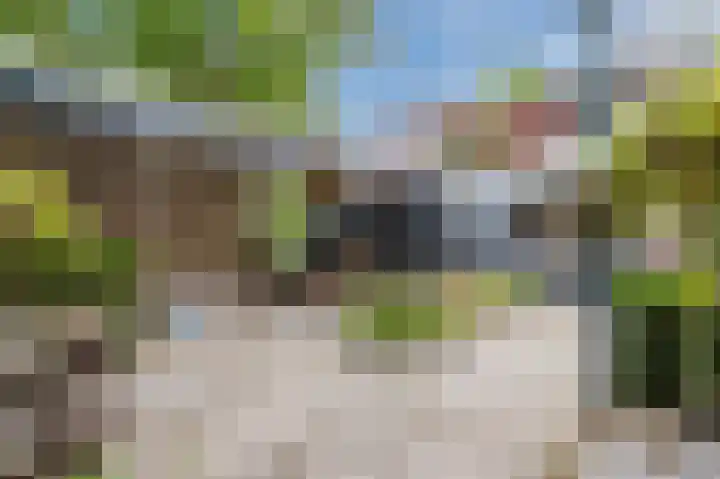 Dalkruiddreef 2 Nuenen thumbnail 26
