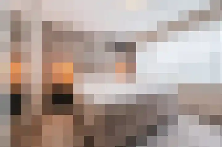 Dalkruiddreef 2 Nuenen thumbnail 32