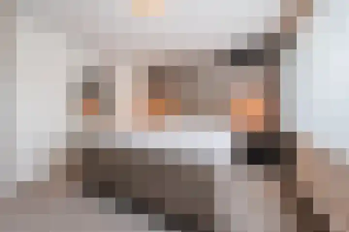Dalkruiddreef 2 Nuenen thumbnail 33