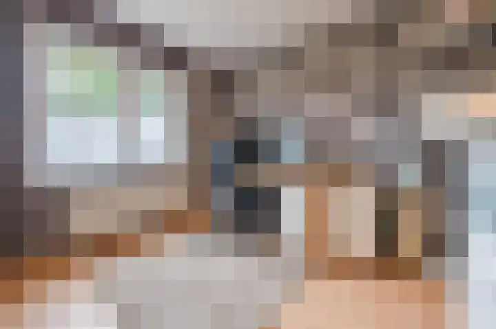 Dalkruiddreef 2 Nuenen thumbnail 34