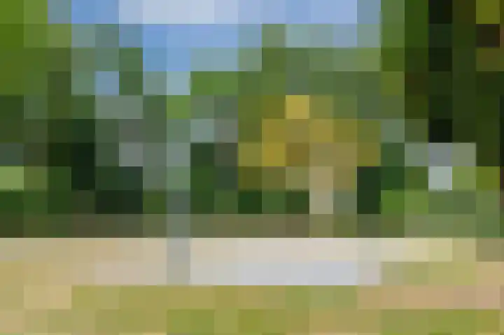 Dalkruiddreef 2 Nuenen thumbnail 4