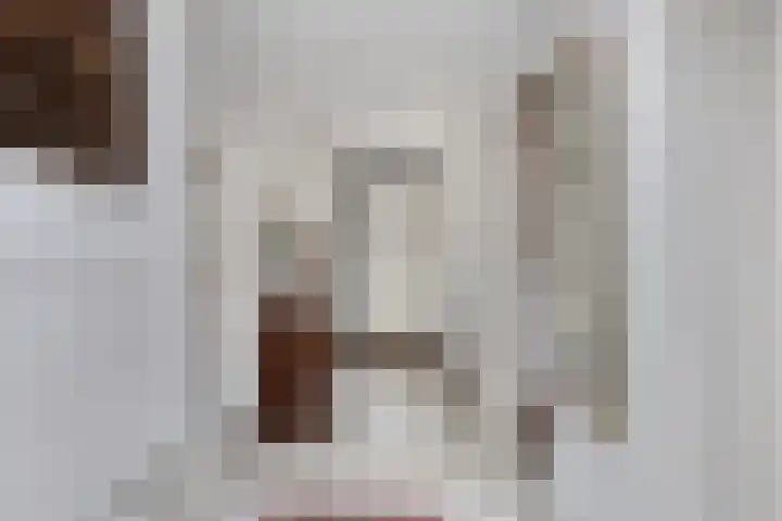 Dalkruiddreef 27 Nuenen thumbnail 10