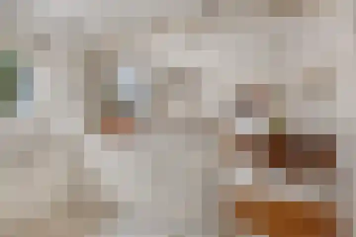 Dalkruiddreef 27 Nuenen thumbnail 18